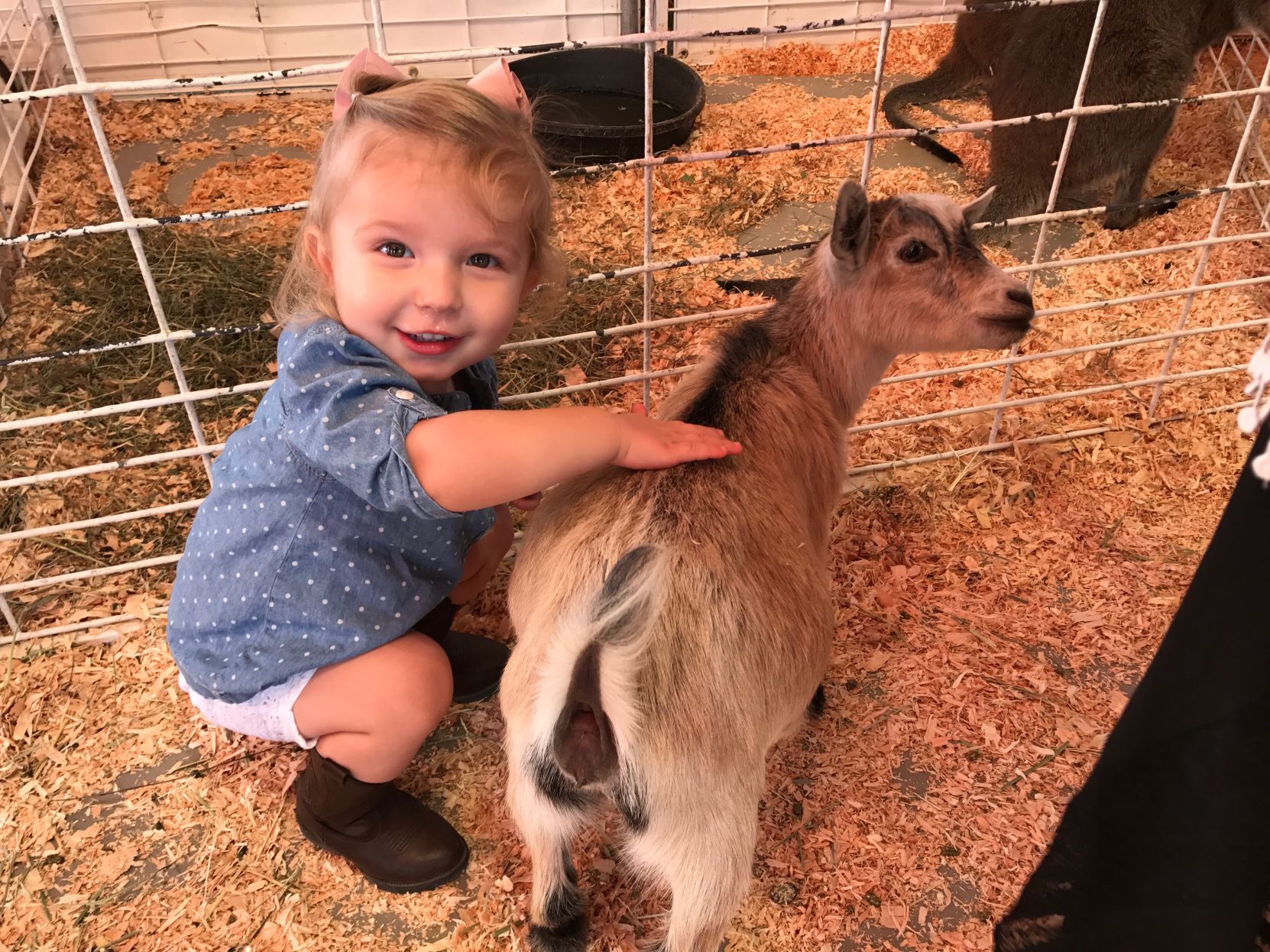 Kern County Fair